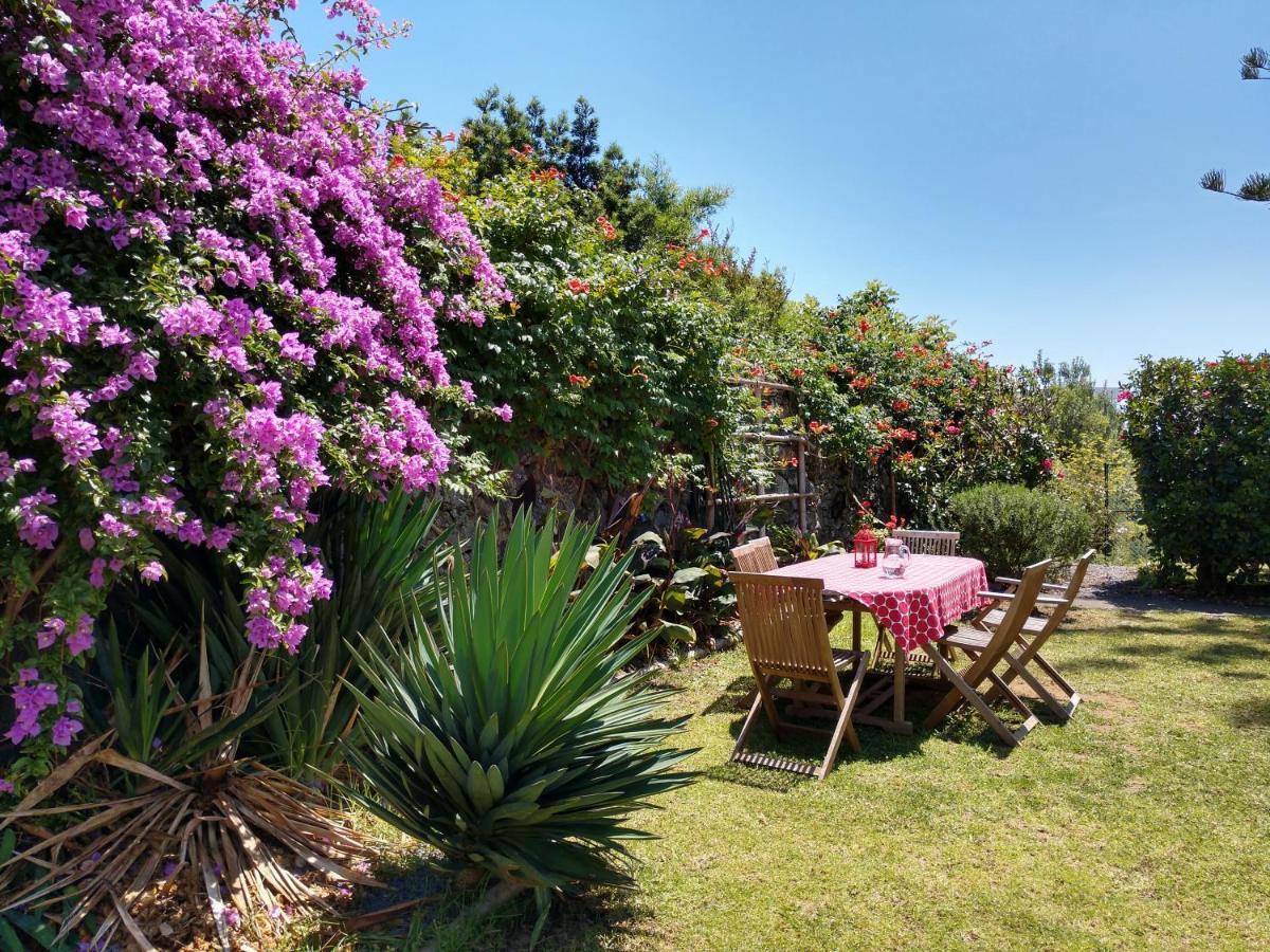 Quinta Das Glicinias Ponta Delgada Kültér fotó